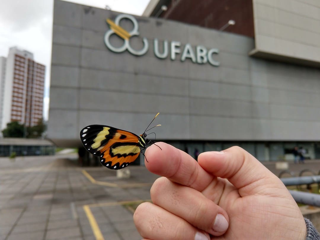 Como eu vejo a UFABC
